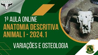 1ª Live de Anatomia Descritiva I 2024 Variações e Osteologia [upl. by Assilav711]