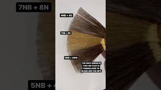 Shades EQ Gloss and grey hair  all you need to know [upl. by Barn]