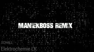 Elektrochemie LK  Schall ManiekBoss REMIX [upl. by Airdnaed]