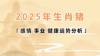 2025年生肖属猪的人感情事业健康运势分析 属猪 生肖猪 运势 2025年 [upl. by Yaresed]