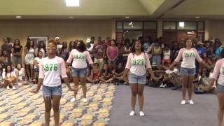 Kappa Upsilon Chapter of Alpha Kappa Alpha  Valdosta State University Yardshow 2013 pt 2 of 2 [upl. by Nosreg]