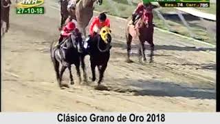 Clásico Grano de Oro 2018 LR785 [upl. by Schiro]