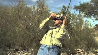 Bobber n Jig Steelhead Fishing on the Clearwater River [upl. by Constant]