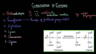 Classification of enzymes  Biomolecules  Biology  Khan Academy [upl. by Tugman]