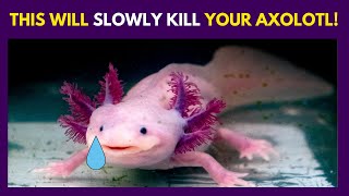 10 Things You Should NEVER Do to Your Axolotl [upl. by Heigl290]