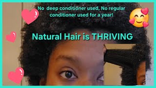 Only using a leavein conditioner for a year No deepregular conditioner hair haircare natural [upl. by Yllod]