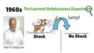 Seligmans Learned Helplessness Experiment Understanding Despair and Resilience [upl. by Hanschen]