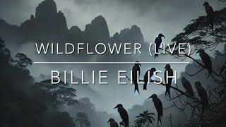 Billie Eilish  Wildflower Live from Amazon Music’s Son  Lyrics Video [upl. by Marc]