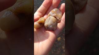 Quartz Trio 💎✨ crystals rockhounding minerals collection three triple [upl. by Nuahsyar]