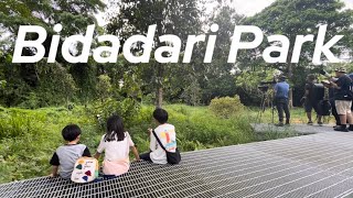 Discover Bidadari Park Singapore’s Hidden Oasis of Nature and Serenity 🌿🦋  MustVisit Green Haven [upl. by Vig220]