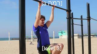 Best Bodyweight Back Workout by a calisthenics master [upl. by Eremahs]