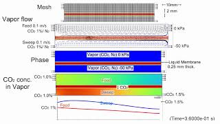 CFD Gas Separation by Liquid Membrane 2 VacuumSweep Mode [upl. by Niasuh849]