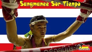 Sangmanee Sor Tienpo quotMillion Dollar Babyquot Highlight [upl. by Luehrmann]