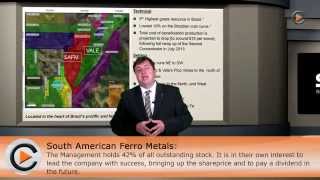 South American Ferro Metals Company Presentation ASX SFZ  Short [upl. by Nnylatsyrc]