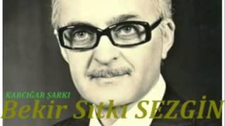 BEKİR SITKI SEZGİN  Bir yareli kuş çırpınıyor sanki [upl. by Dygall219]