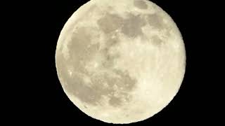 Heute Superzoom Panasonic Vollmond Kalender Wann ist der nächste Vollmond Freitag 15 November 2024 [upl. by Medorra278]