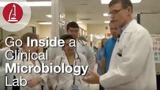 Go Inside a Clinical Microbiology Lab [upl. by Nohsad774]