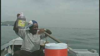 Pure Bulk Syrup Boat 45 sec Ad [upl. by Mishaan]