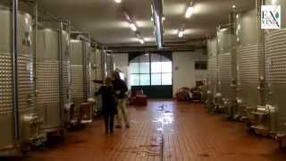 ExVinis  Passione per il vino delle piccole cantine di eccellenza [upl. by Arual]