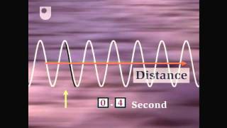 Oscillation and Wave Speed  Exploring Wave Motion 25 [upl. by Winfrid]