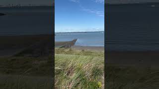 In den Dünen am Strand Breskens Holland [upl. by Lakin]