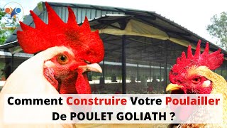 CONSTRUCTION de POULAILLER délevage de POULET GOLIATH investir au pays dans le poulet local 100 [upl. by Anirdnaxela717]