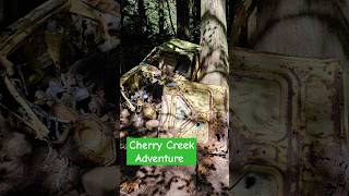 Cherry Creek Adventure pacificnorthwest hiking hikingwithkids hikingadventures kidsoutdoor [upl. by Potash]