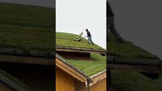 Just cutting the lawn 🙃 lawn wtf amazing viralshorts work fyp family laugh funny fyp [upl. by Gebler]