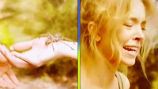 Watch Sydney Sweeney Get Bit By HUGE Spider While Filming [upl. by Zinn46]