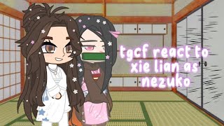 tgcf react to xie lian as nezuko special heaven officials blessing [upl. by Lipfert]