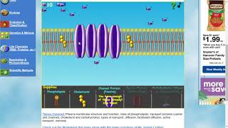 Cell Defense The Plasma Membrane [upl. by Winshell]