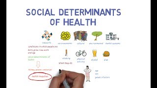 What Makes Us Healthy Understanding the Social Determinants of Health [upl. by Laurent119]