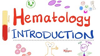 Hematology  Introduction  Hematopoiesis Lets Make RBCs WBCs and Platelets Hematology Playlist [upl. by Crissie986]