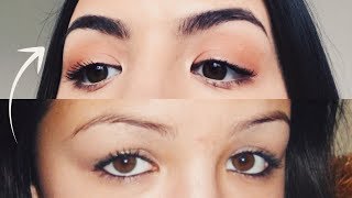 HOW TO GROW THICKER EYEBROWS NATURALLY amp FAST [upl. by Meier]