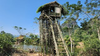 Building a house on the highest bamboo clump  7 days to build a tree house off the grid [upl. by Dhu]