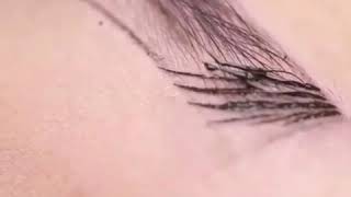 Trazos de Microblading [upl. by Hilleary]