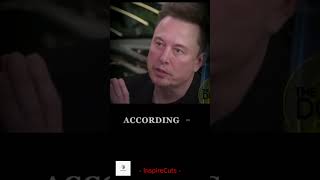 Elon Musks Powerful Meritocracy Message Judge by Skills amp Integrity Not Background 💼💡 elonmusk [upl. by Annoeik]