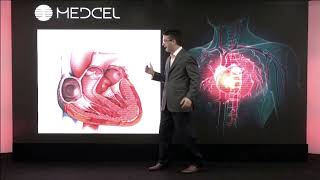 Anatomia e fisiologia cardiaca basica  Questoes [upl. by Hesoj]