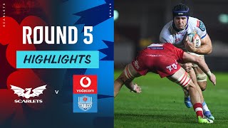 Scarlets v Vodacom Bulls  Highlights  Round 5  URC 202425 [upl. by Os864]