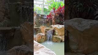 waterfall naturegarden fallsShorts [upl. by Lear]