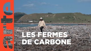 NouvelleZélande  les fermes carbone  ARTE Reportage [upl. by Donny]