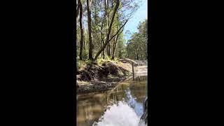 condamine river road and queen Mary falls [upl. by Jaquenetta437]