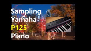 Yamaha P125 Recording Sample [upl. by Hterag209]