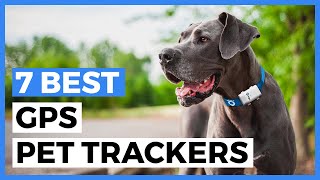 Best Gps Pet Trackers in 2024  How to Choose a Tracker to Keep an Eye on your Pet [upl. by Bond142]