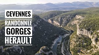 Cévennes randonnée au dessus des gorges de l’Hérault [upl. by Eirehc]