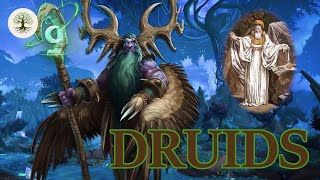 Real Druids Were Priests Judges and Sorcerers But Not Shapeshifters [upl. by Worden319]