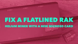 Fix a Flatlined RAK Helium Miner With a New MicroSD Card [upl. by Eeroc]