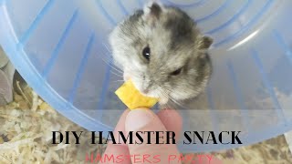 Three Ingredients Hamsters Snack  NO SUGAR  Easy Recipe 🐹 Hamsters Party [upl. by Nossila]