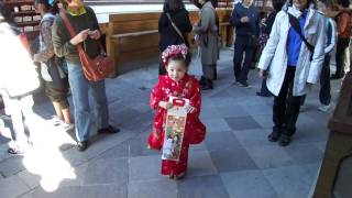 Ashleys 七五三 Shichigosan ceremony Day [upl. by Aihseit]