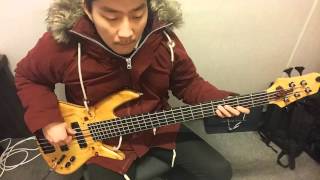 Bass Cover Tammy Wynette  Stand By Your Man [upl. by Kessel]